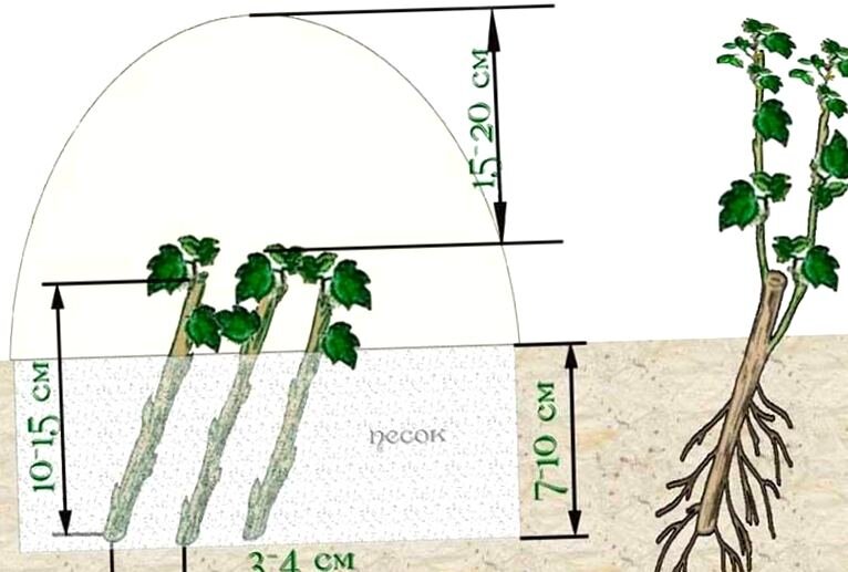 Взято из открытых источников