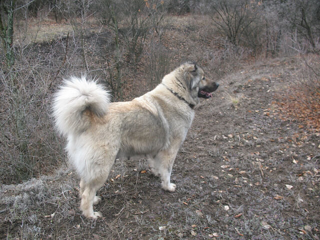 На фото Вирмочке уже годика 3-и