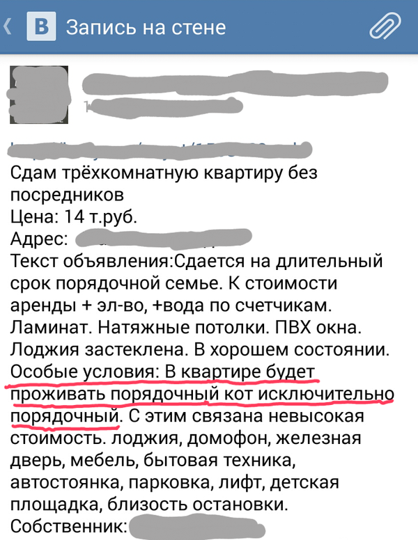 когда ты котик и ищешь себе рабов, когда твои уехали :)