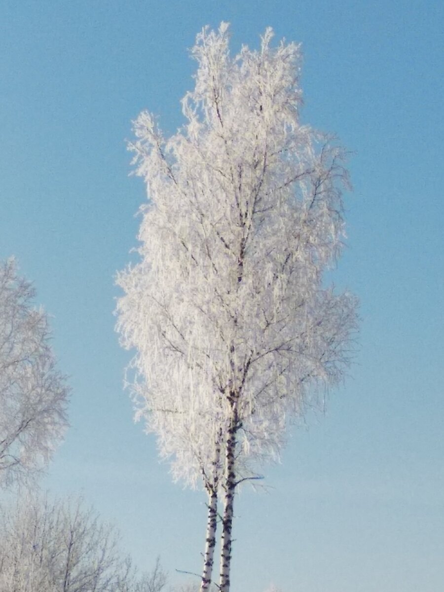 Зима, красота. 