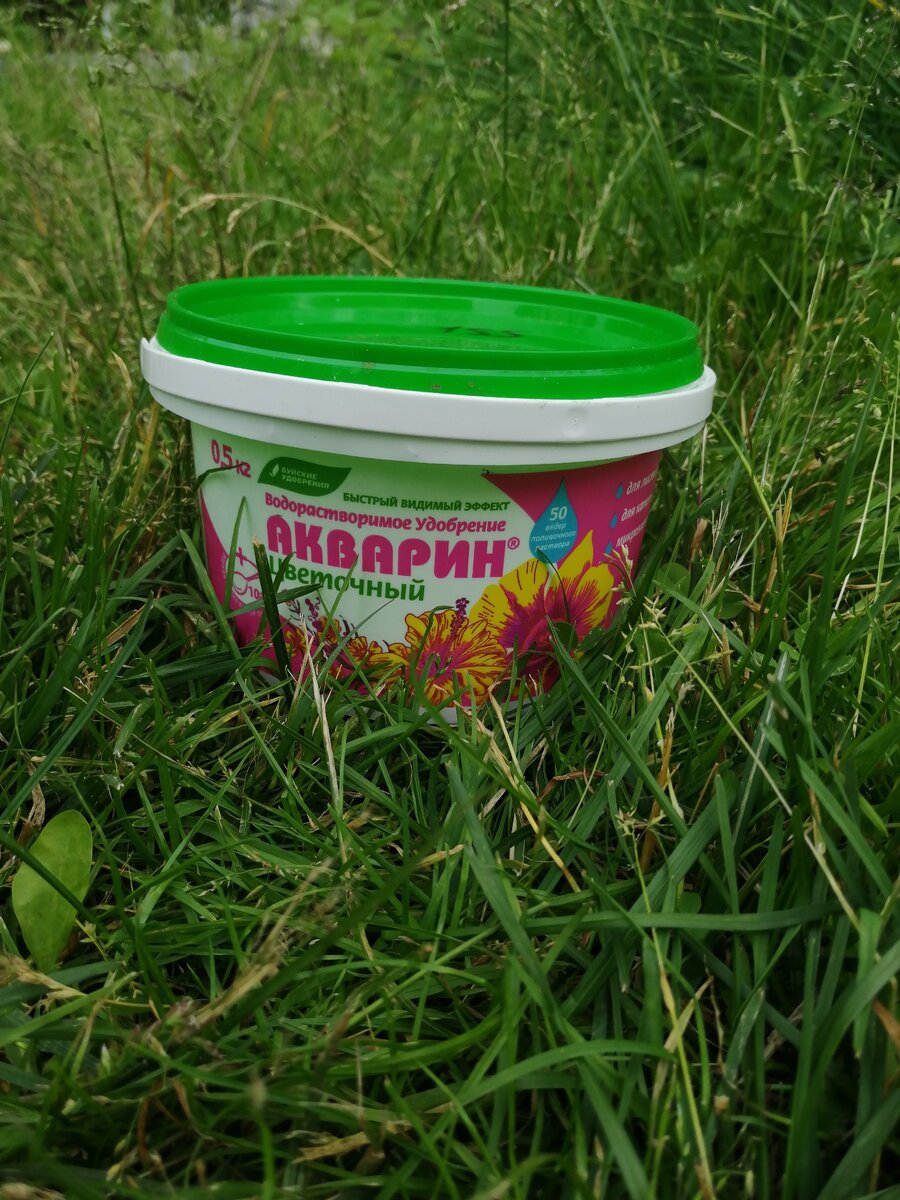 Продаётся вот в таких небольших пластиковых ведёрках, цену можно рассмотреть на крышечке