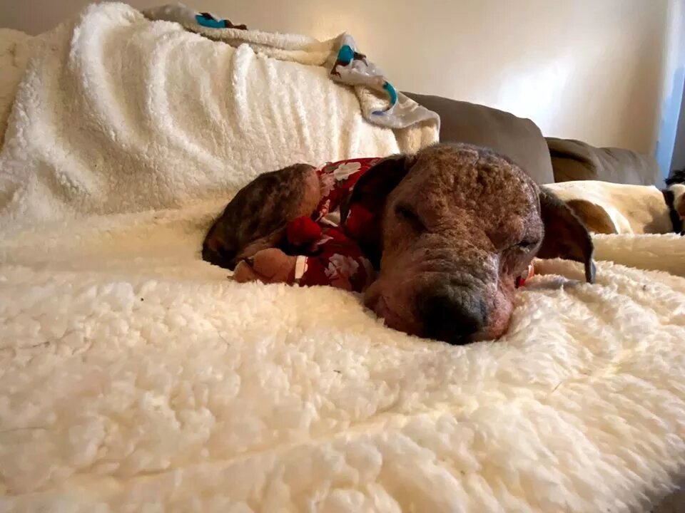 Фото из открытых источников