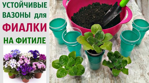 🌷🌹🌷КАК СДЕЛАТЬ устойчивые ВАЗОНЫ для ФИАЛКИ на фитиле⁉️ | УМЕЛАЯ ...