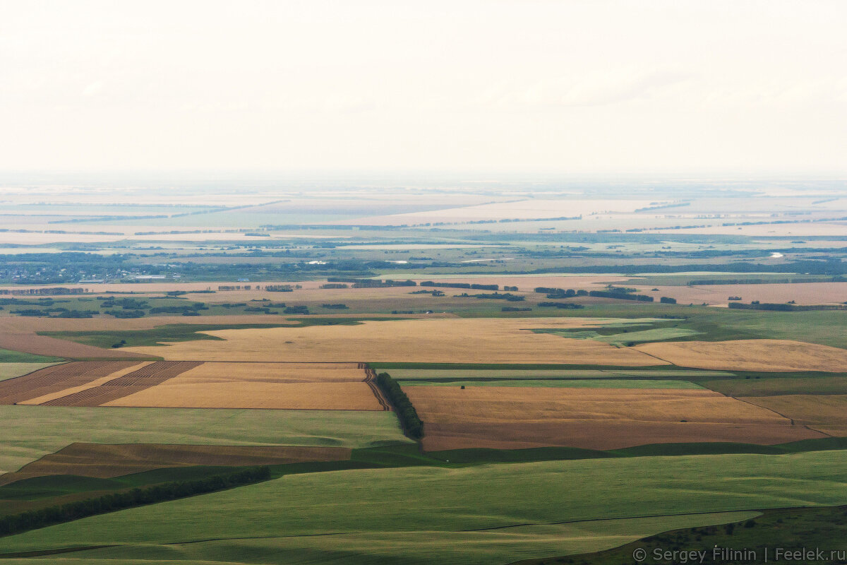 Фото по заимствованно из открытых источников