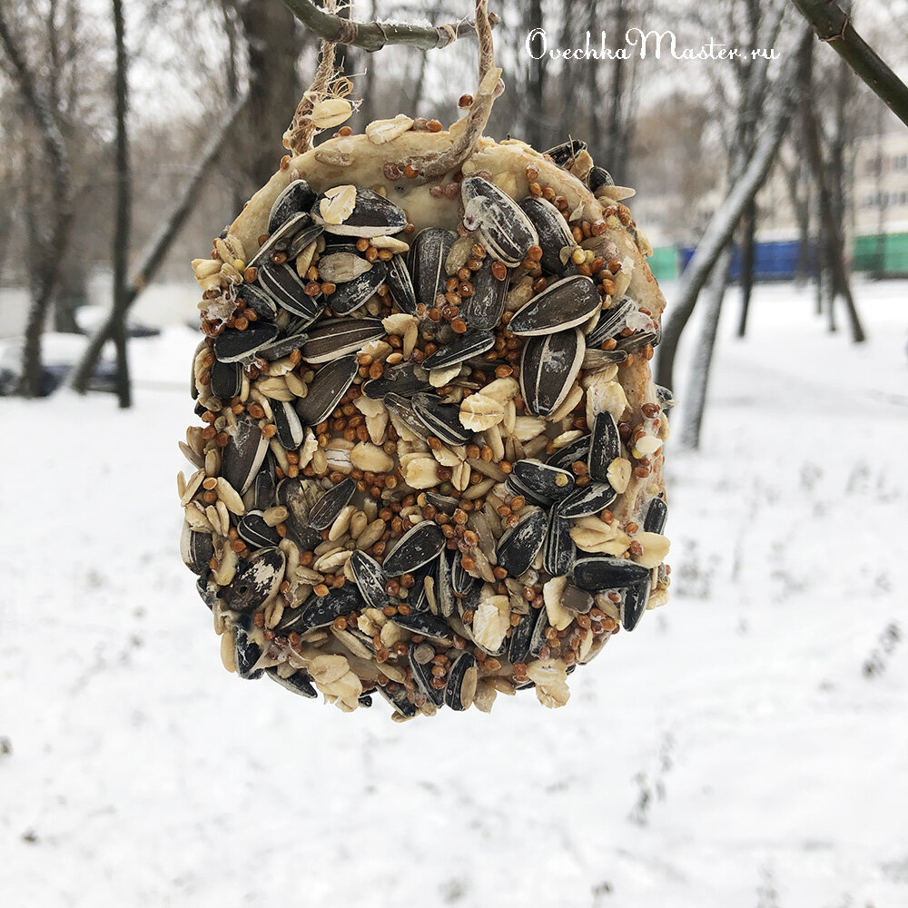 Съедобные кормушки. Съедобная кормушка для птиц.