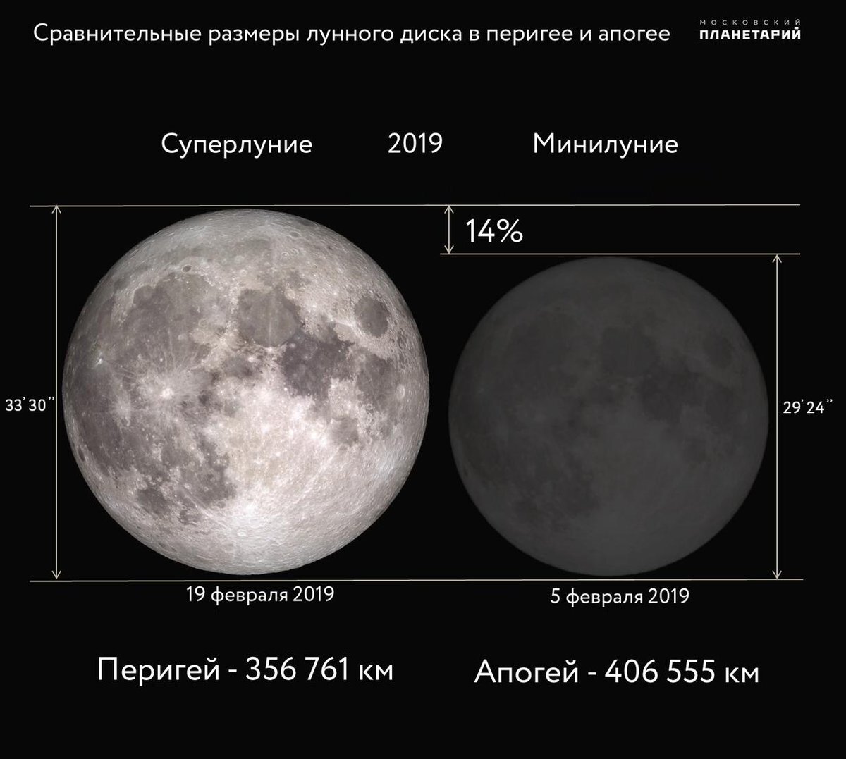Сравнение Луны в феврале 2019 года. 