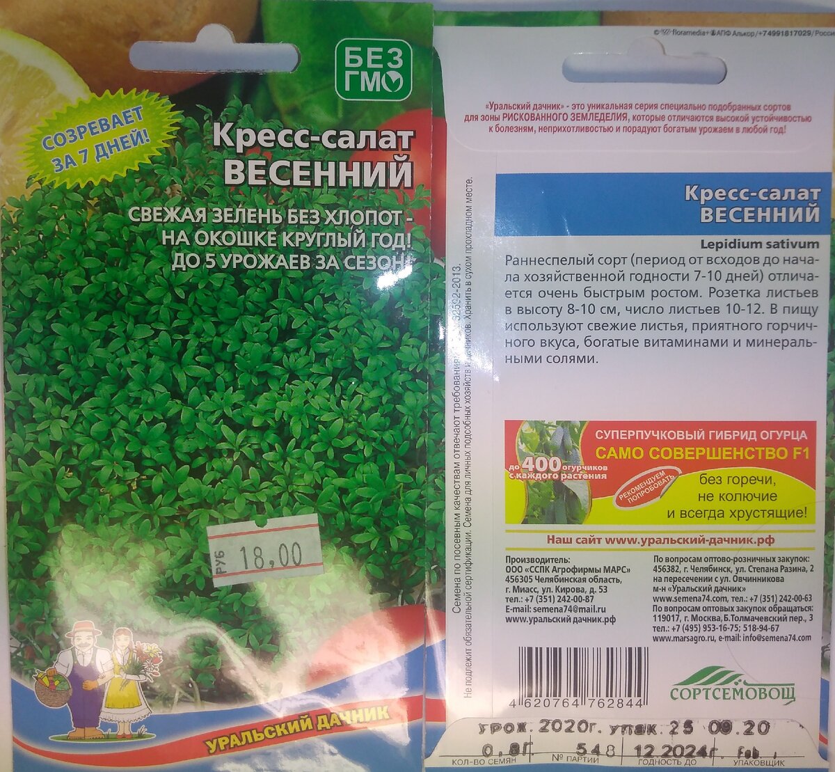 Кресс-салат. Фото моё.