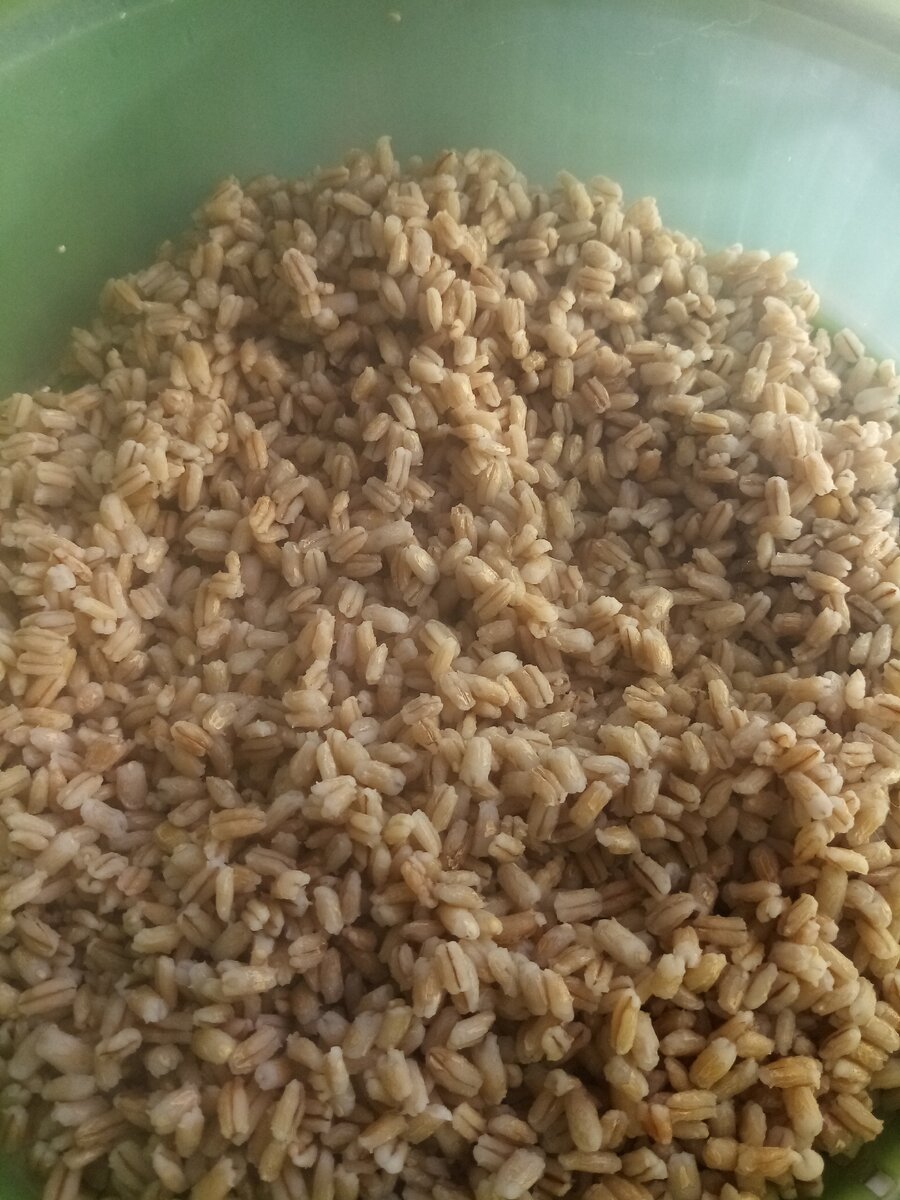 Крупы получилось много - я и забыла, как она набухает)) лишнее заморозила