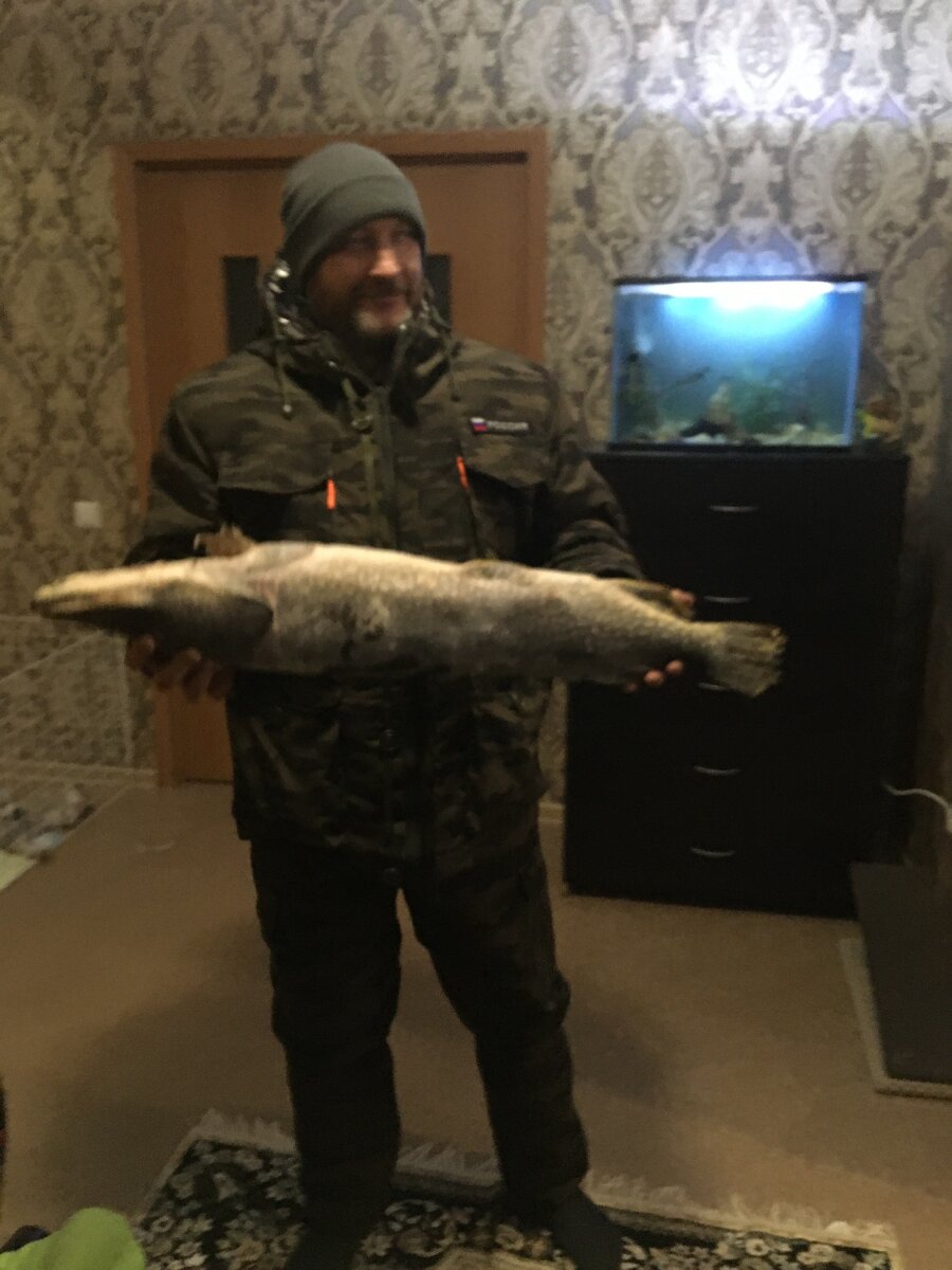 Вручение каймана-щуки