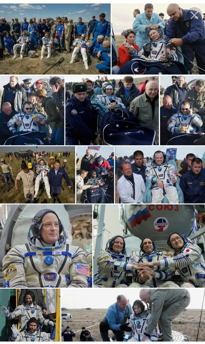 Фото из открытых источников