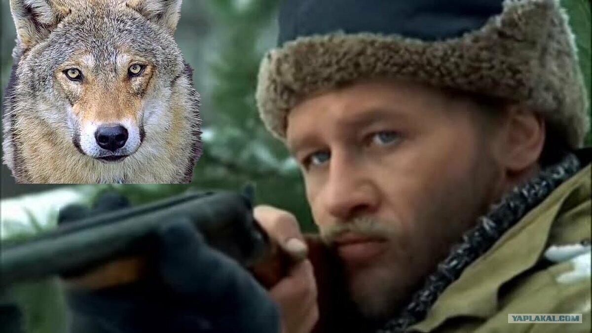 фото из интернета