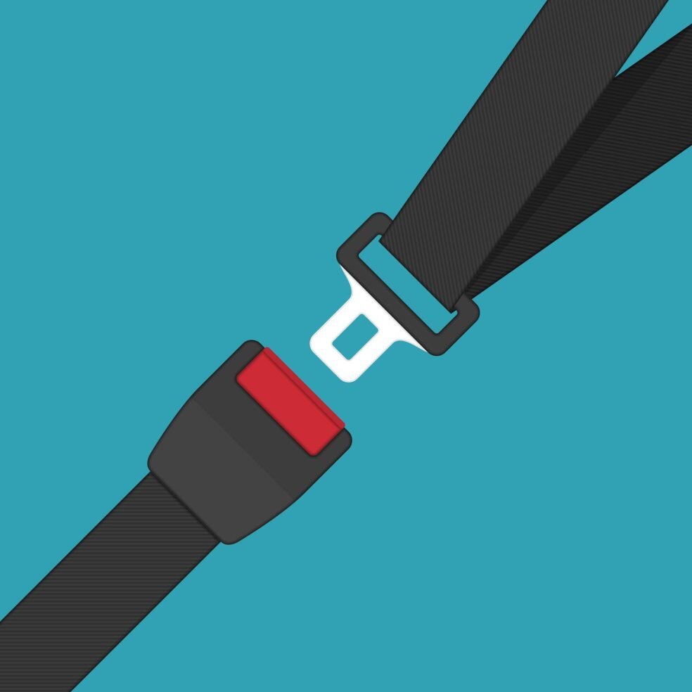 Seat Belt vector