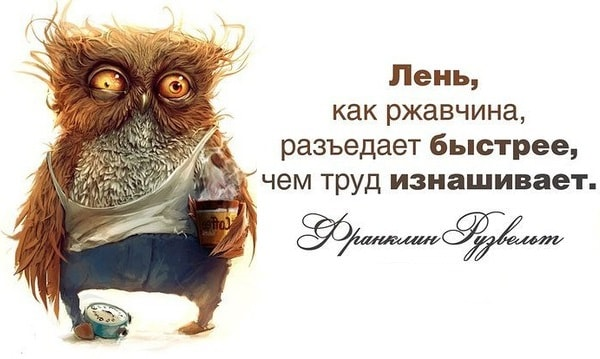 Ни для кого не секрет, что хоть лень и считается «матерью всех пороков», но ленится почти каждый. Периодически так называемой «здоровой ленью» поражается до 100% населения независимо от возрастного, экономического и социального статуса.