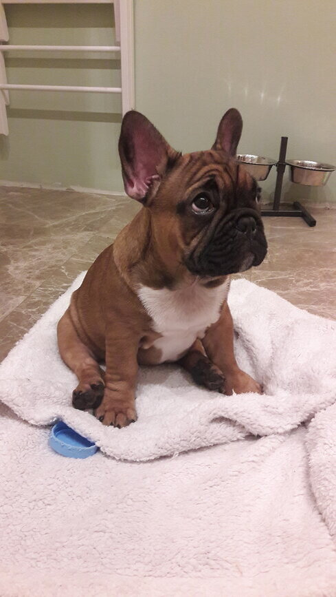 "Чего так долго, давай еду!"