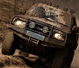 КРОКОДИЛ НА ТРОПЕ