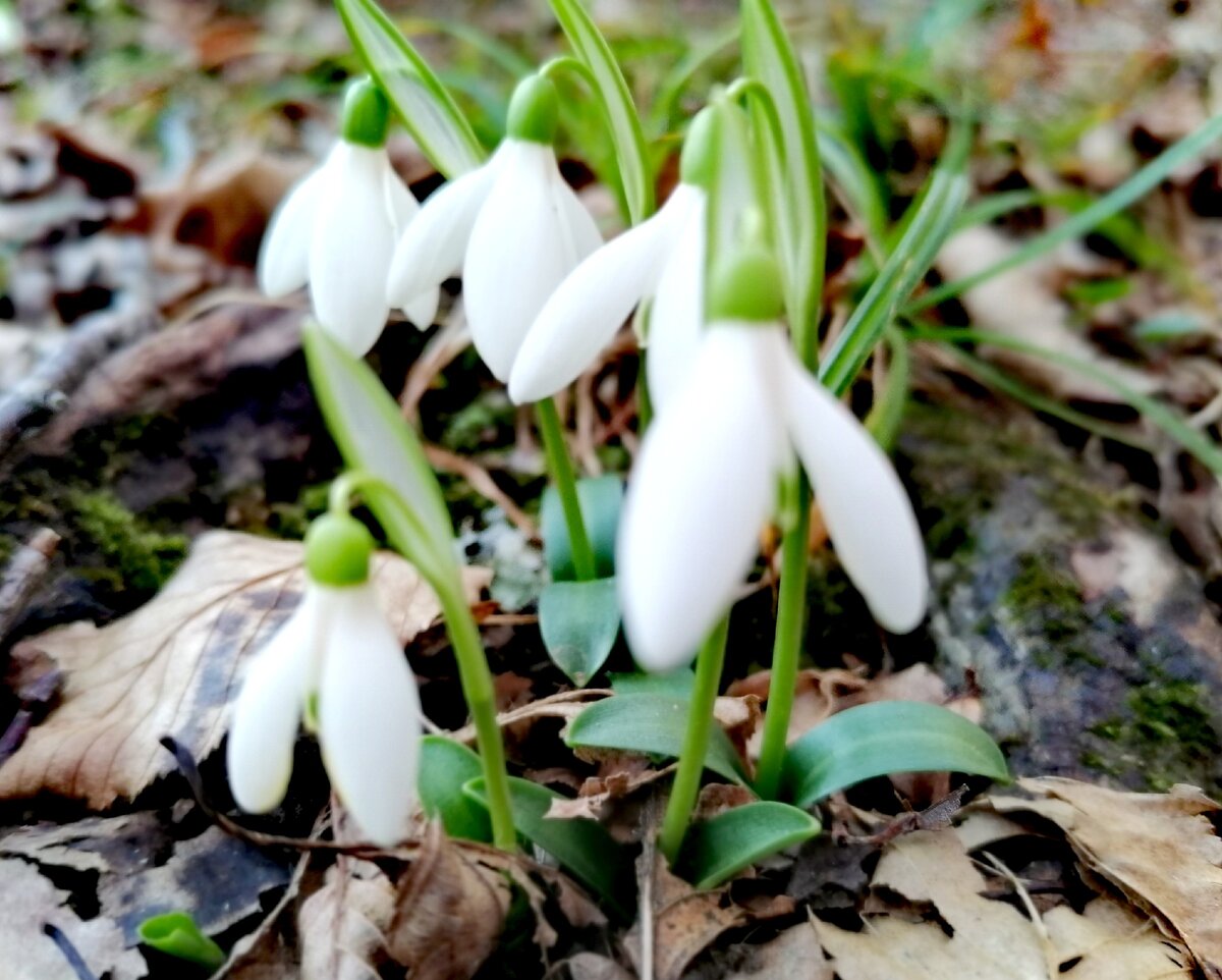 Фото из личного архива. 3 февраля 2021г.