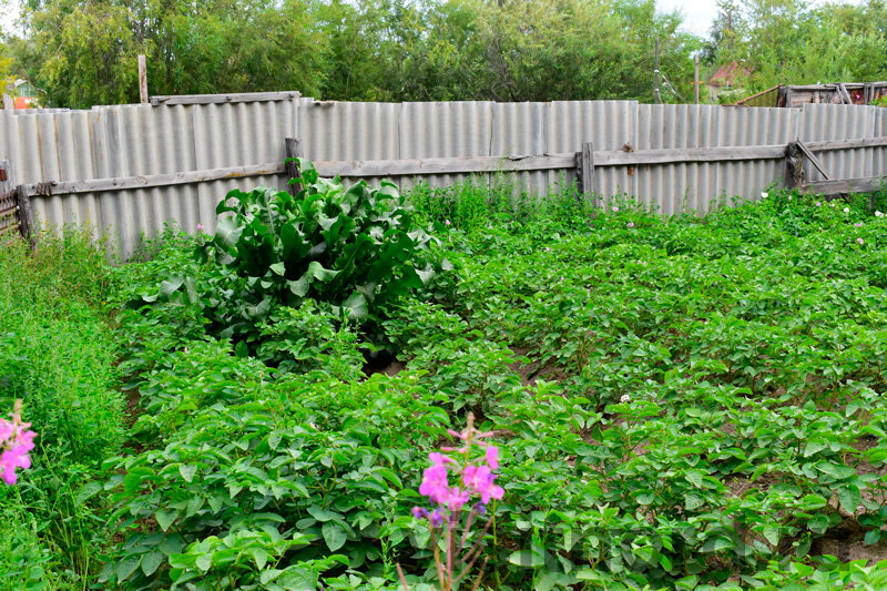 Марково, на самом деле, удивительное в плане климата место