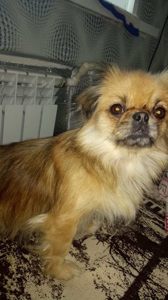 Мама Мальта