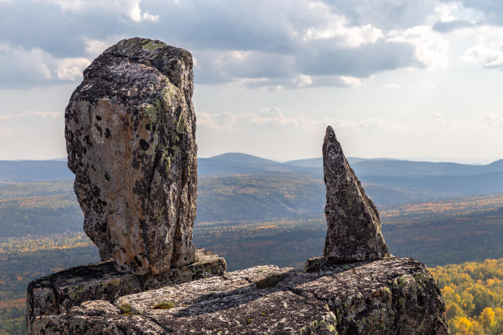 Фото: shutterstock.com