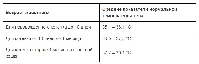 Температура тела по возрасту кошки