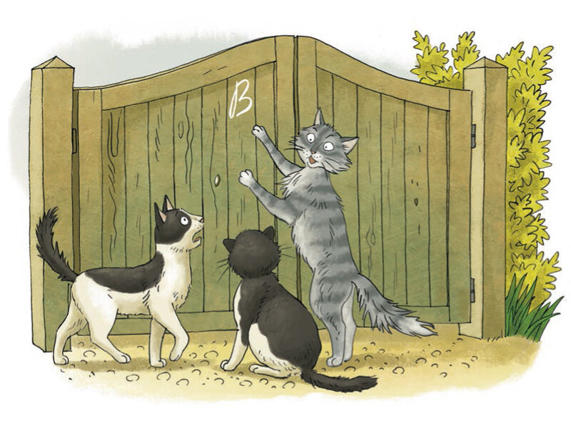 Иллюстрация из книги «У кошек всегда каникулы»