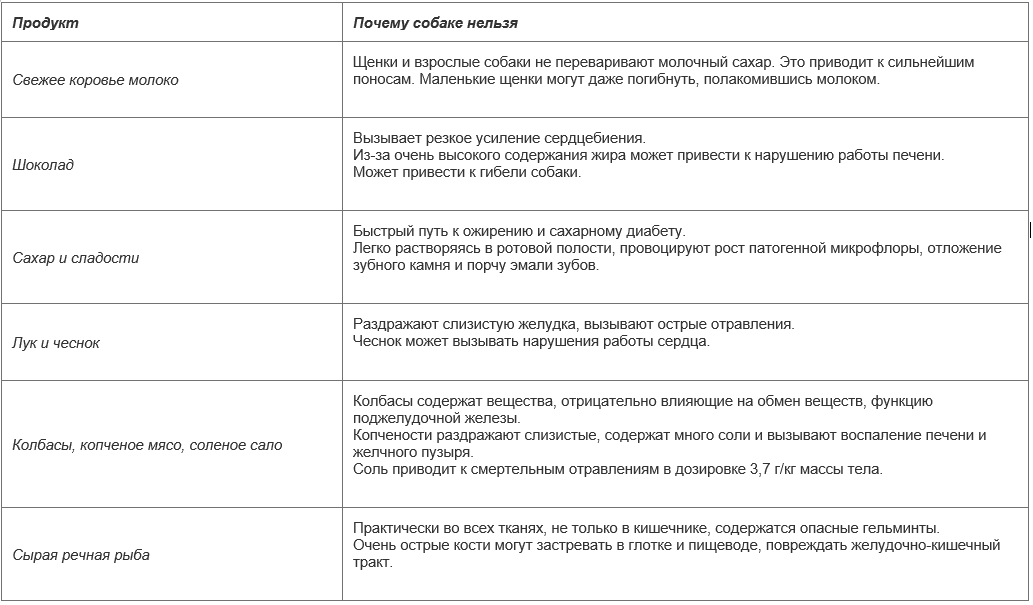 Продукты, вредные для собак