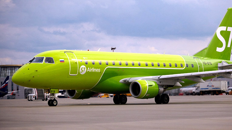 Теперь в салоне самолета s7 могут летать больше животных