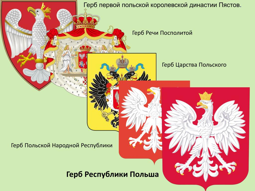 Королевство речь посполитая. Флаг и герб речи Посполитой. Речь Посполитая герб. Герб Польши речи Посполитой. Герб польского королевства.