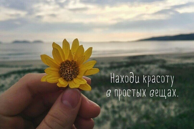 Яндекс фото