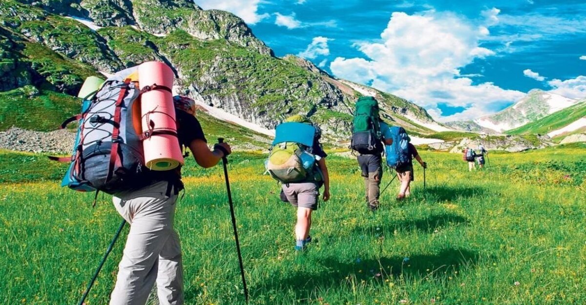 Фото из сети.