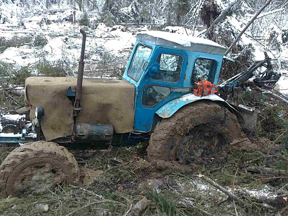 Фото Жени Быстрякова: https://www.youtube.com/channel/UCVvaKwfX8inwnmL9P_51MvQ