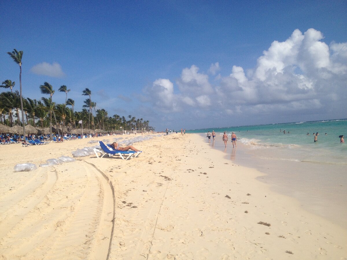 Каждый день водоросли с пляжа убирают в пакеты и вывозят