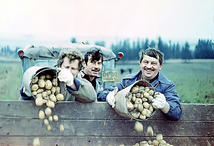 Источник фото: Яндекс картинки