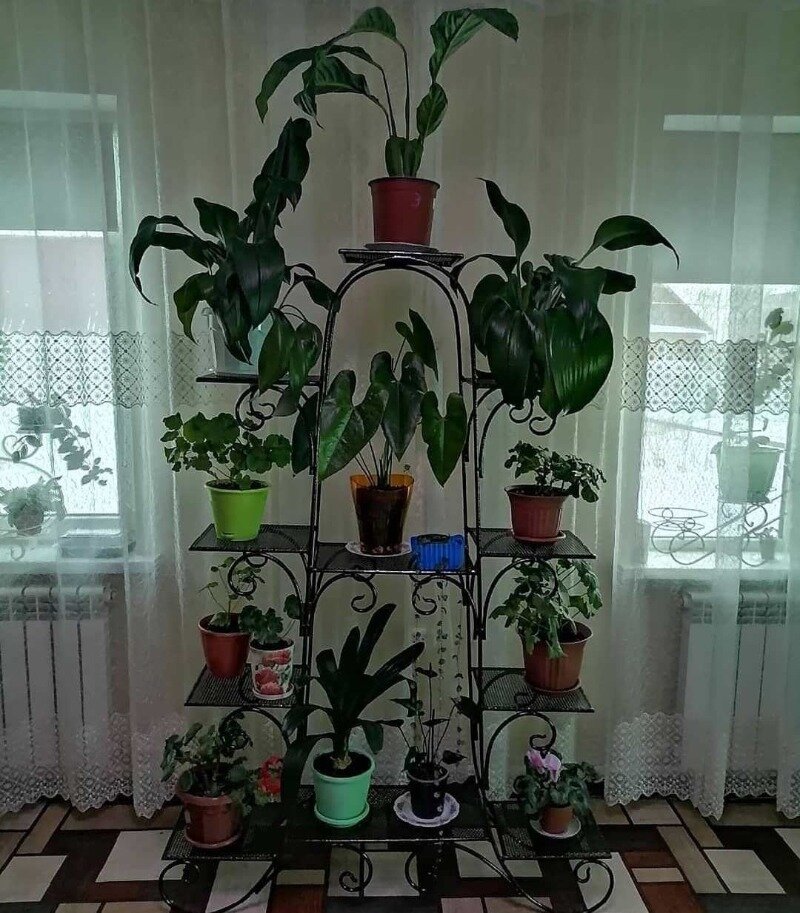 Фото https://www.instagram.com/p/CMFZN94B3kM/