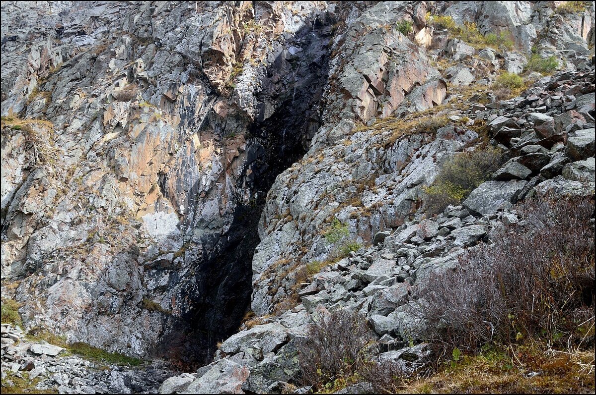 изображение из открытых источников