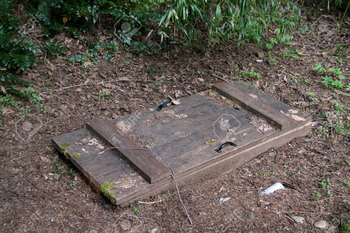 Яндекс-картинка