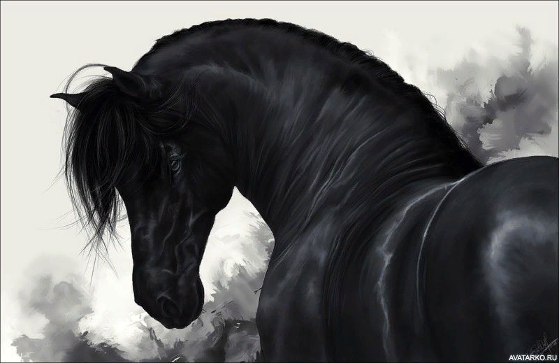 Изображение из свободных источников