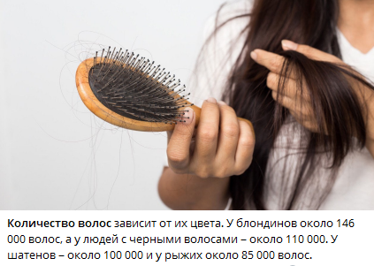 взято из открытых источников