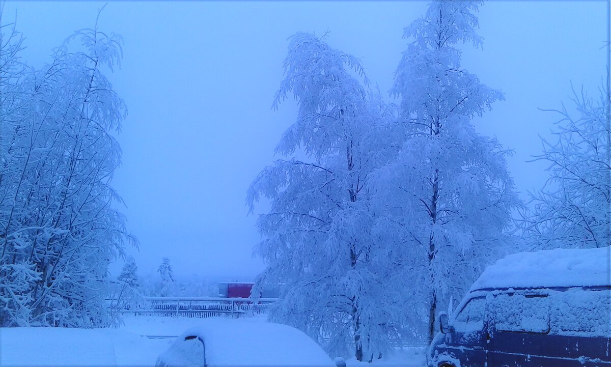 Зима в Костомукше волшебная!❄️