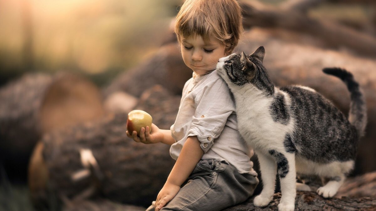 Фото из свободного доступа сети Интернет