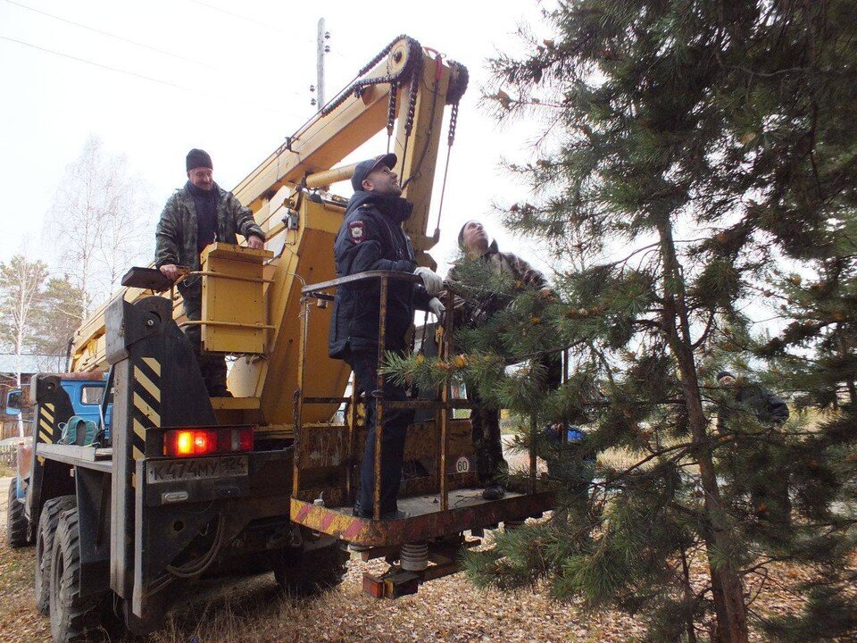     Пришлось позвать на помощь коммунальщиков, те приехали быстро. Фото: МВД