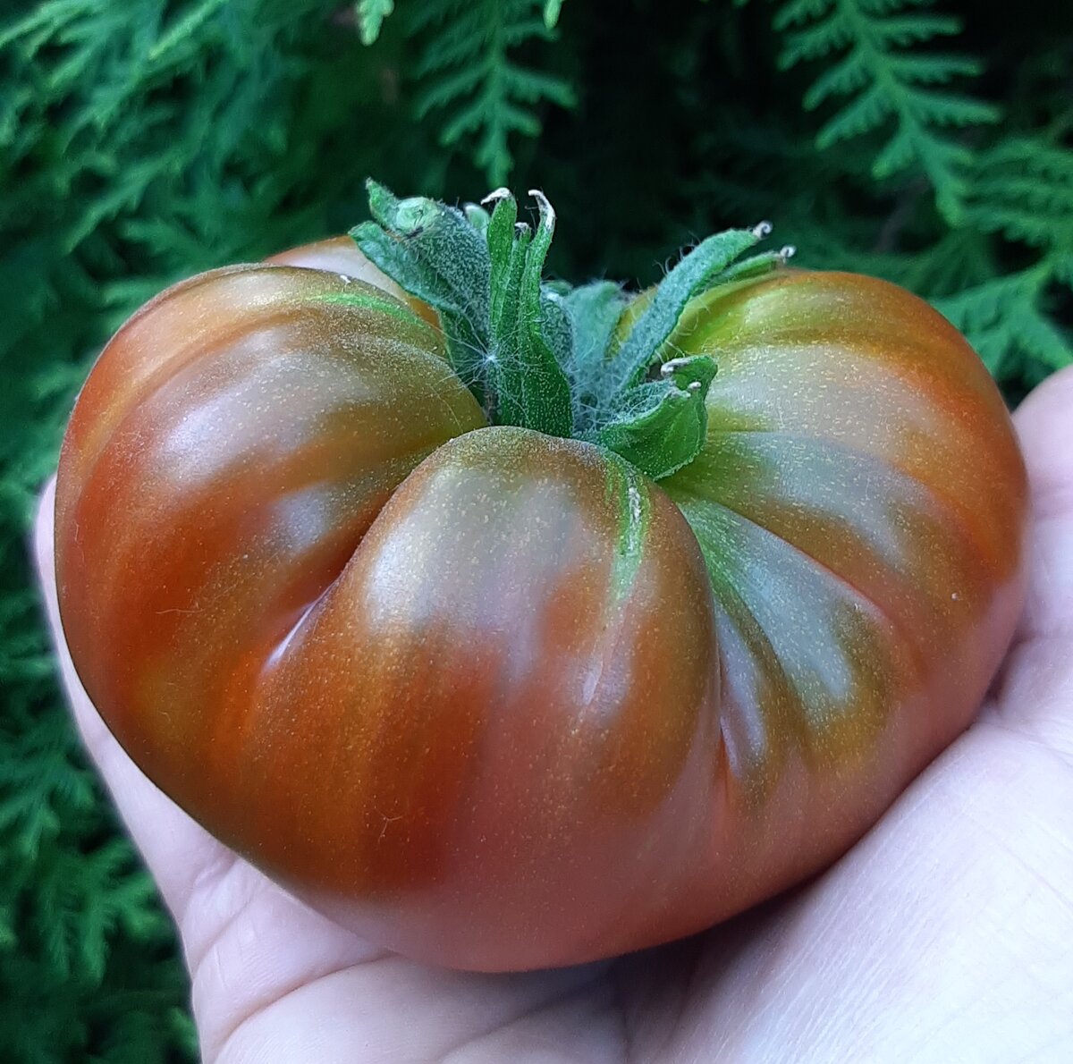 Фото автора. 