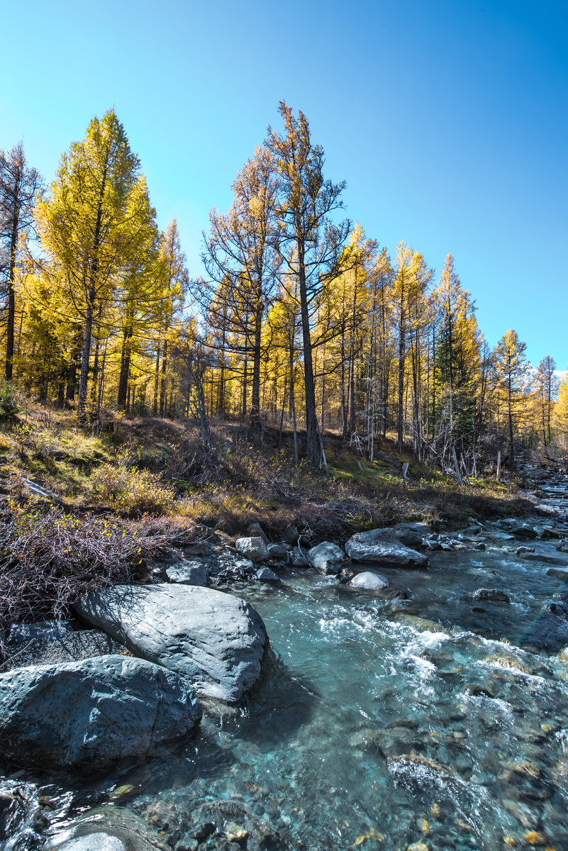 Река Куркурек