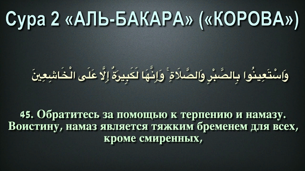 СУРА Аль-Бакара | Корова 