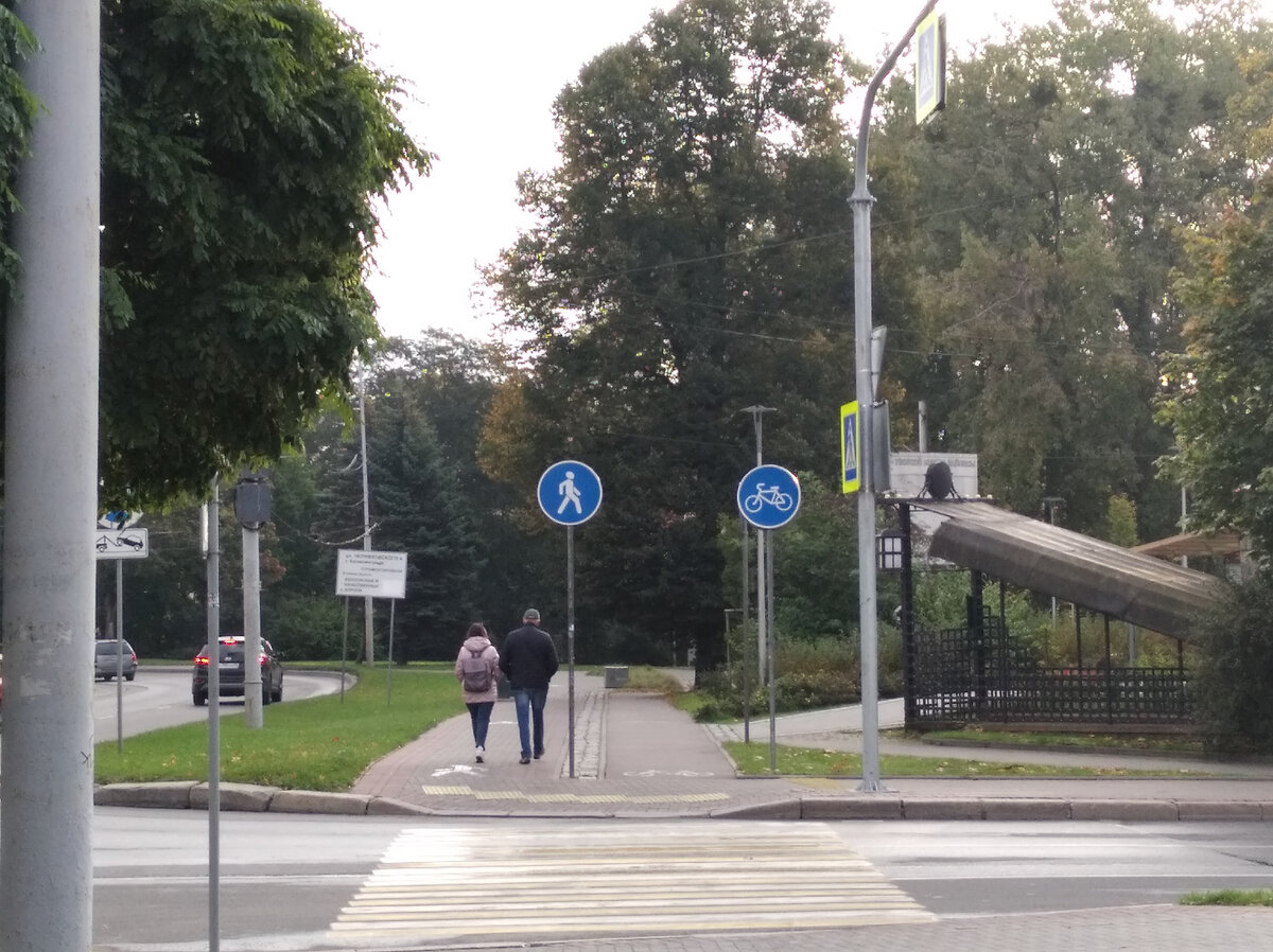 Велодорожек становится больше, что радует. Удручает, что не всегда проложены по уму, о чём - дальше. Переход через улицу Сергеева. Листайте