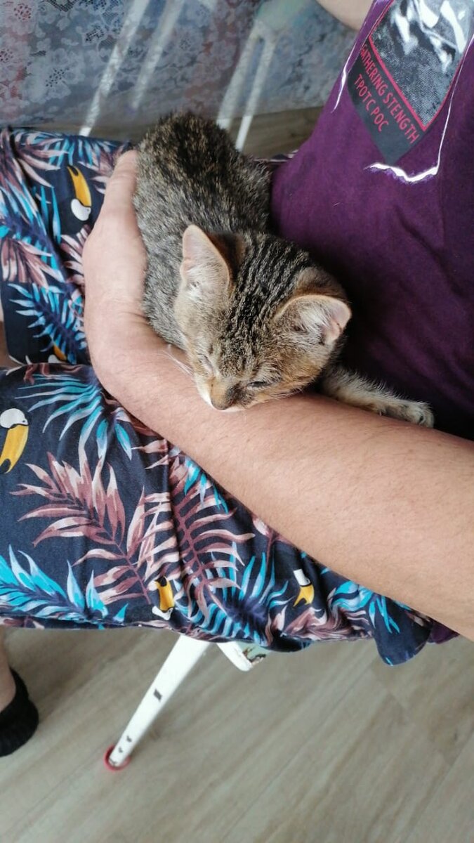 Любимый малыш Ёсик