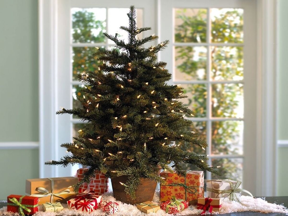 На фото елка украшенная гирляндой. Размеры новогодней елки должны соответствовать габаритам помещения и выбранному месту установки 
