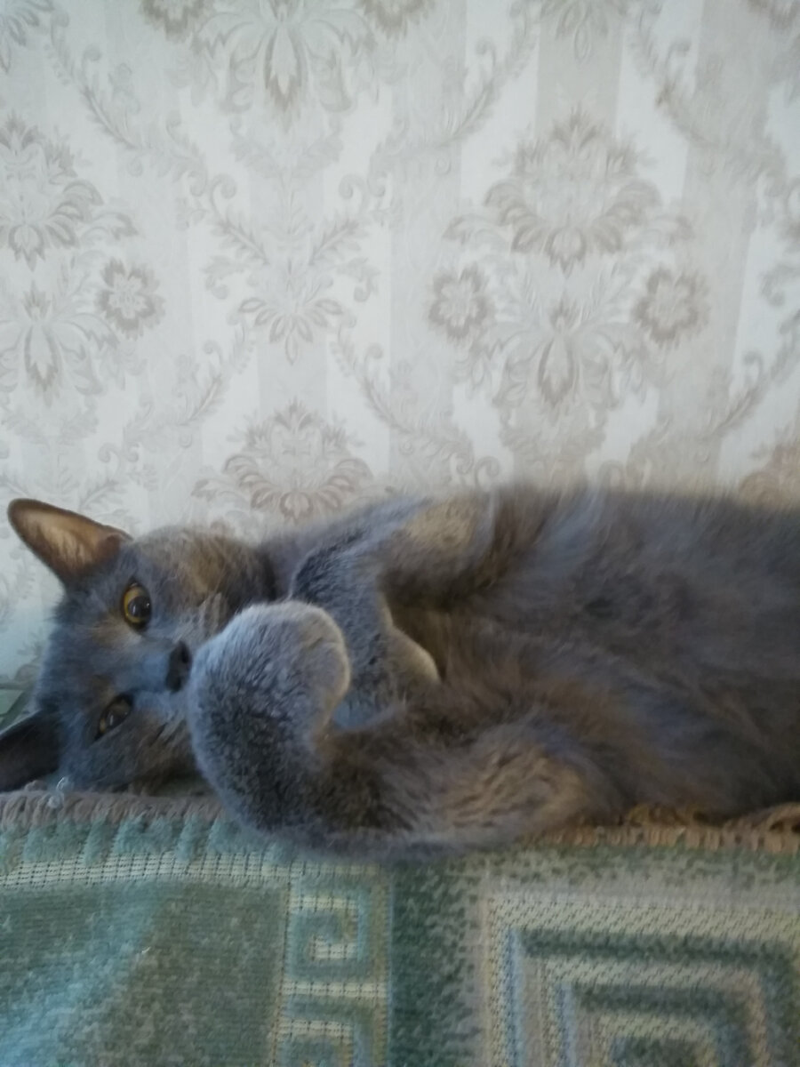 Джим!