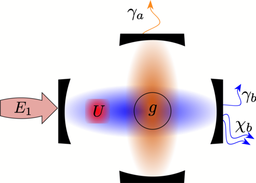 Схематическое изображение  установки. Источник: L.R. Bakker et al./ Phys. Rev. Lett., 2022