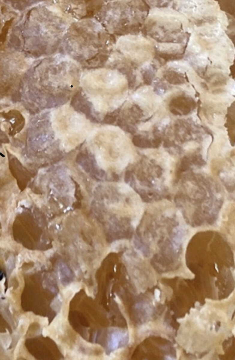 Ячейки меда